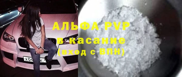 сатива Белокуриха
