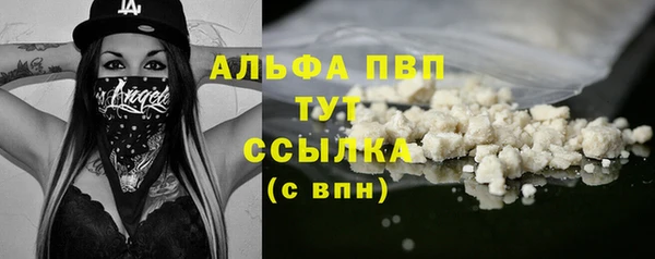сатива Белокуриха