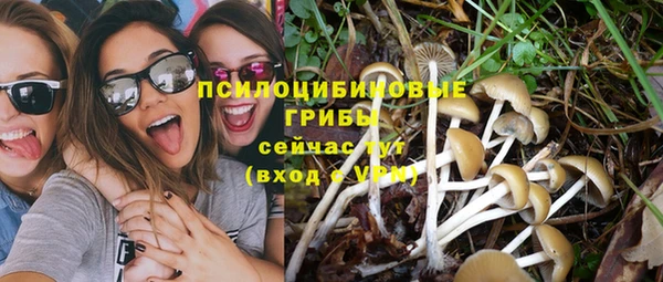 сатива Белокуриха