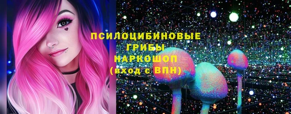 сатива Белокуриха