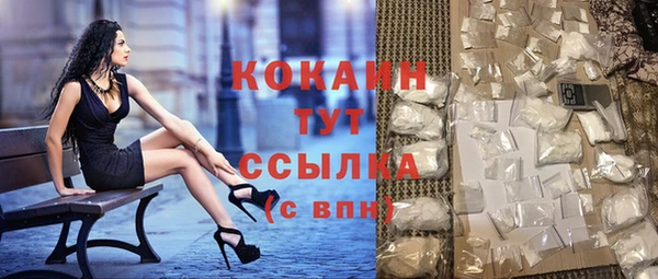 сатива Белокуриха