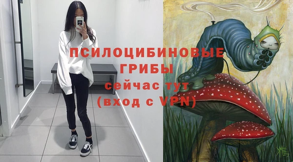 сатива Белокуриха