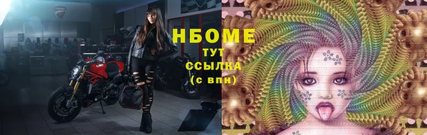 сатива Белокуриха