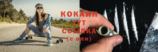 мдпв Богданович