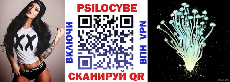 гидра как войти  цены наркотик  Городище  Галлюциногенные грибы Psilocybine cubensis 